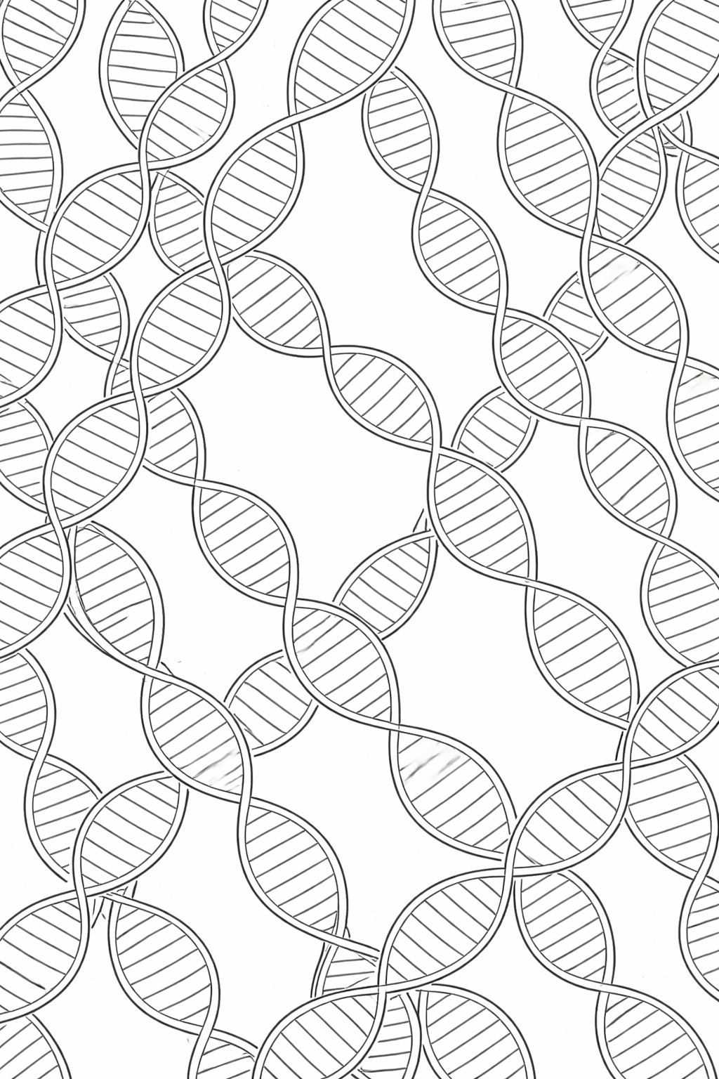 2/24 SCN2A Day FREEBIE Coloring Pages