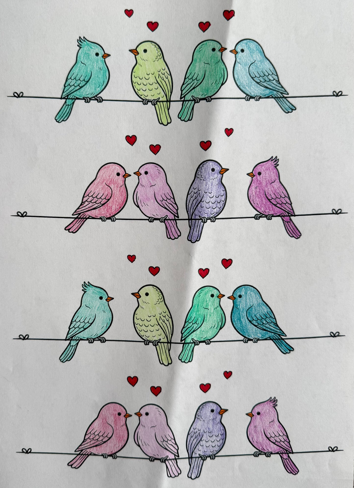 Valentines Flowers & Feathers Coloring Bundle