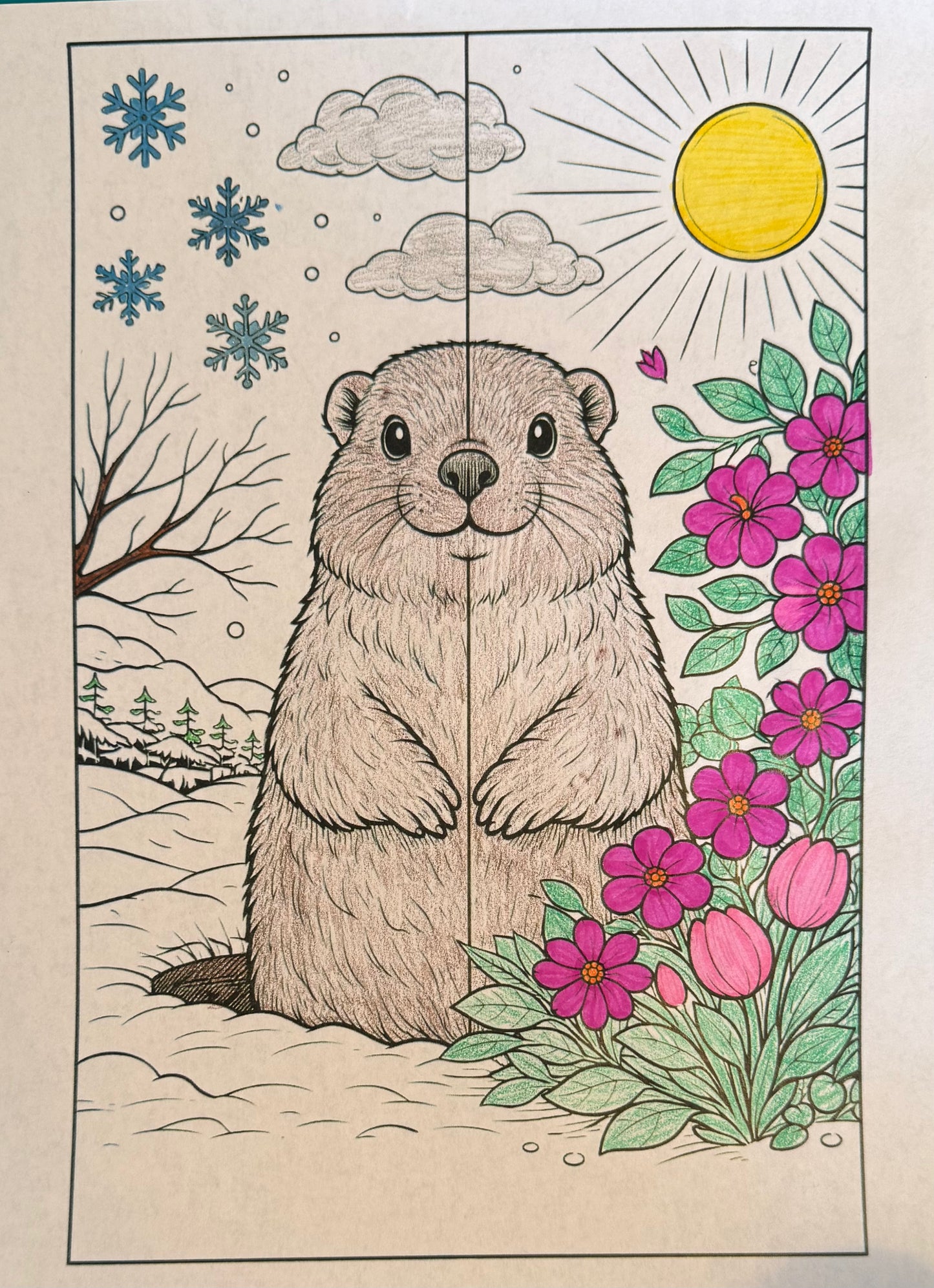 2/2 Groundhogs Day FREEBIE Coloring Page
